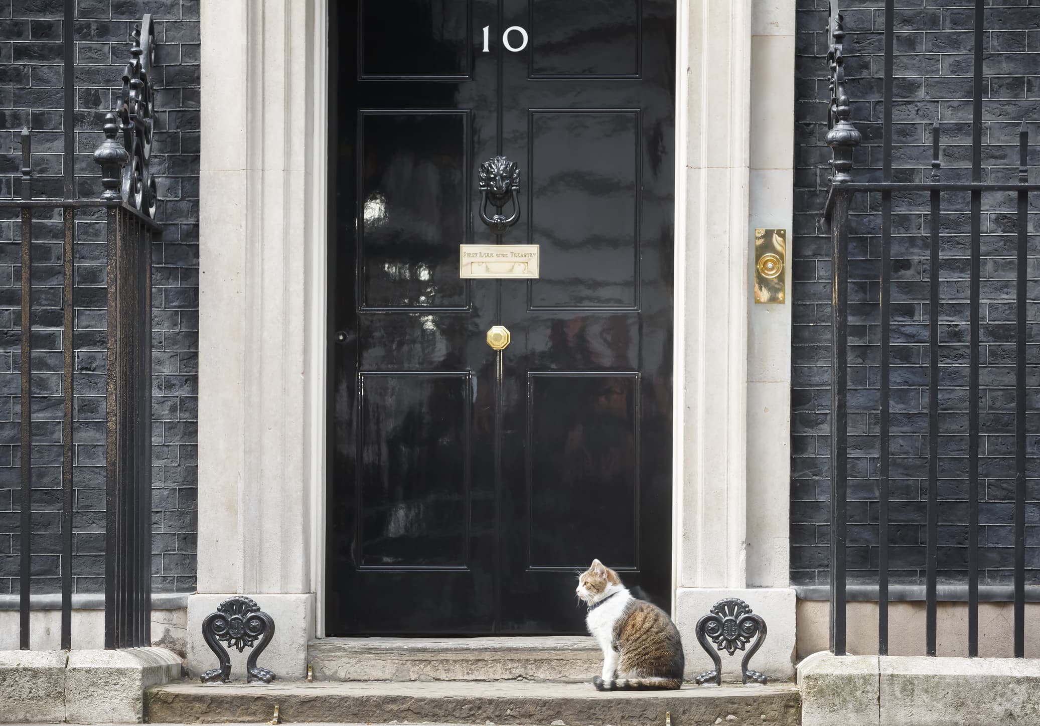Larry - 10 Downing Street